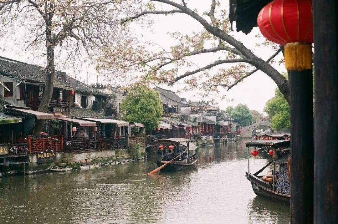 冷知识分享平台你去看电影《保你平安》了吗?让你记忆深刻的是什么?,开拓你的大脑天地